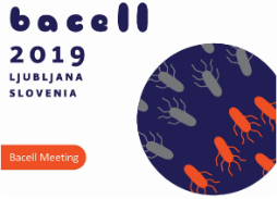 BACELL 2019